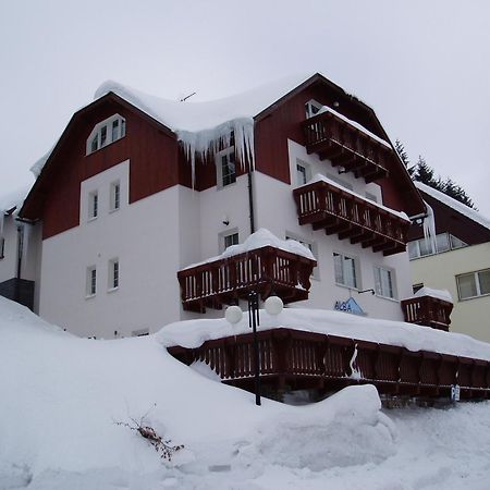 Pension Alba Špindlerŭv Mlýn Exterior foto